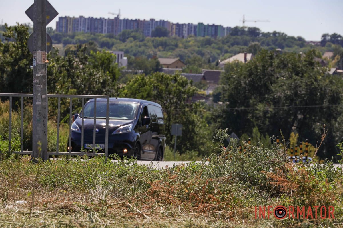 Святкування День Незалежності під цвітіння алергену: вулиці Дніпра заросли полями амброзії 24