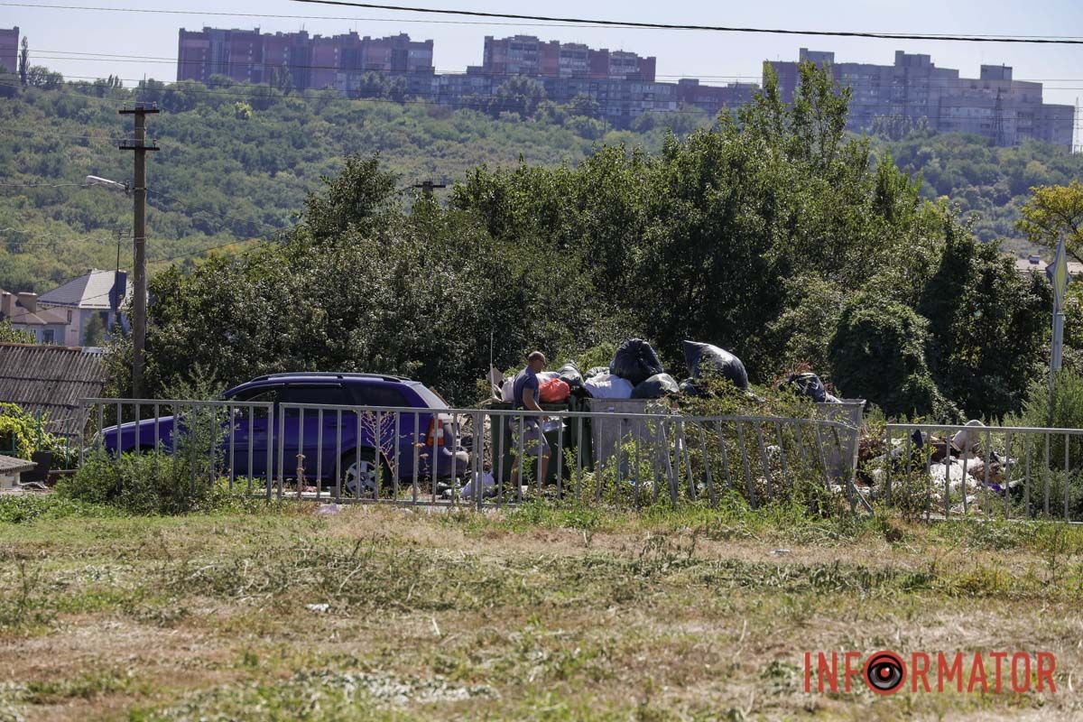 Святкування День Незалежності під цвітіння алергену: вулиці Дніпра заросли полями амброзії 21