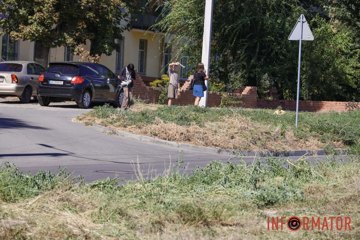 Святкування День Незалежності під цвітіння алергену: вулиці Дніпра заросли полями амброзії 26