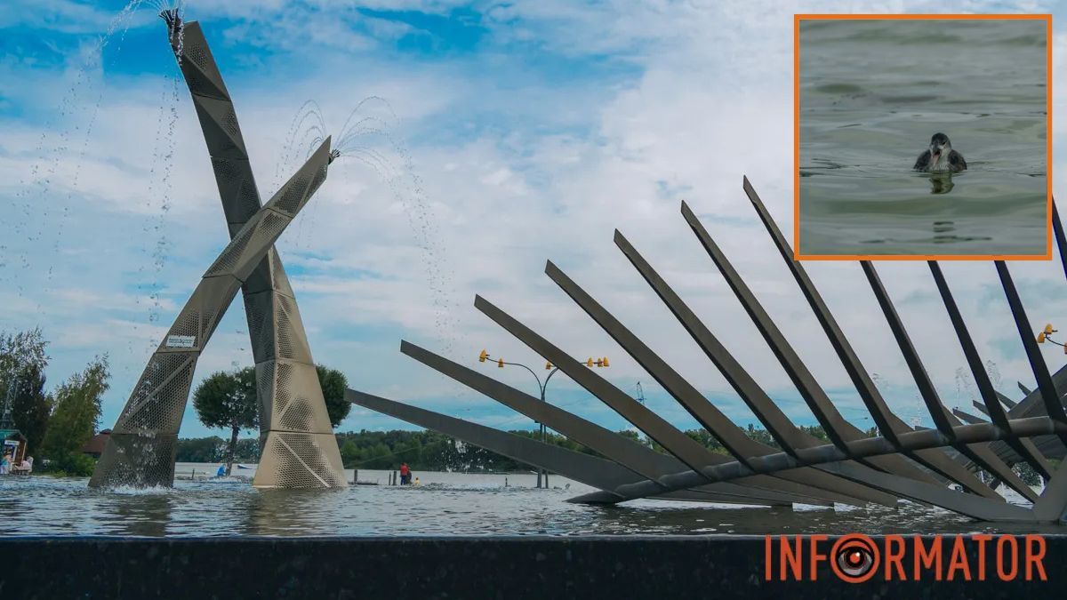 У Дніпрі 25 серпня очікується сонячна погода