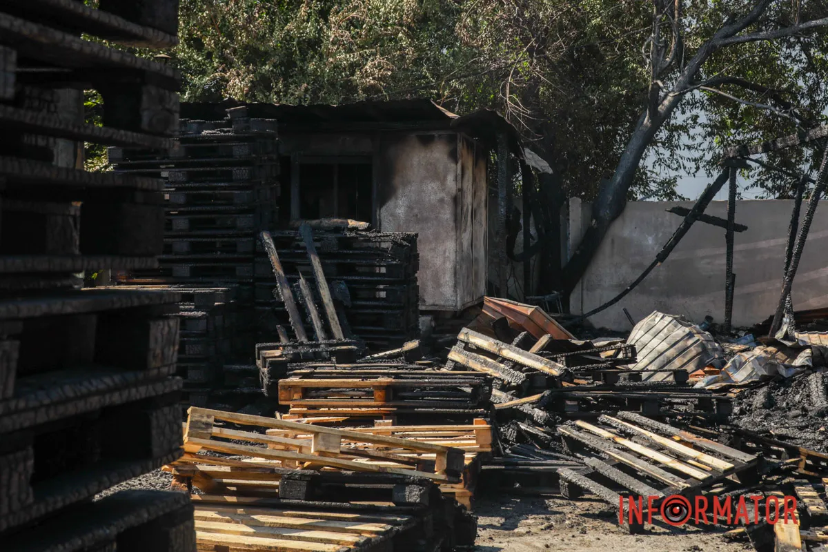 Собака опинився біля епіцентру пожежі: що відомо про наслідки атаки на ТРЦ «Караван» у Дніпрі 4