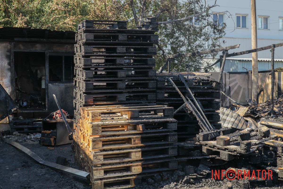 Собака опинився біля епіцентру пожежі: що відомо про наслідки атаки на ТРЦ «Караван» у Дніпрі 7