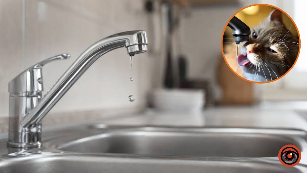 За якими адресами у Дніпрі 25 серпня відсутня вода: перелік