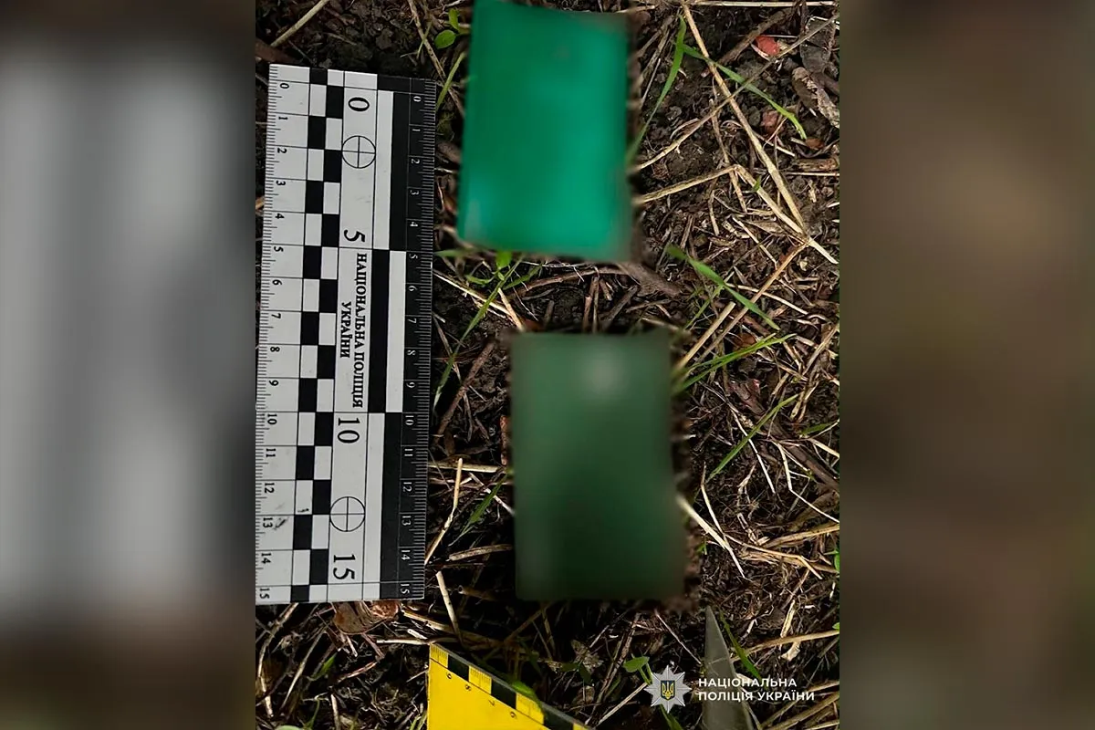 Сумку с вещами нашли в лесополосе разбой 4