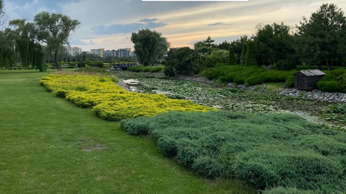 Якби у Дніпра був Instagram: топ красивих світлин міста