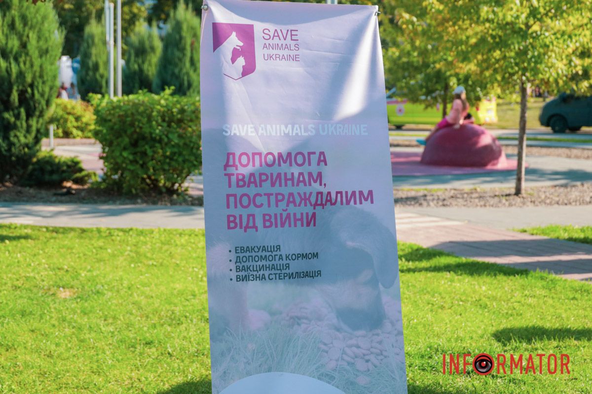 Для чотирилапих улюбленців: у Дніпрі як у сквері Усачова проходив “Гав-Гав” фест 25