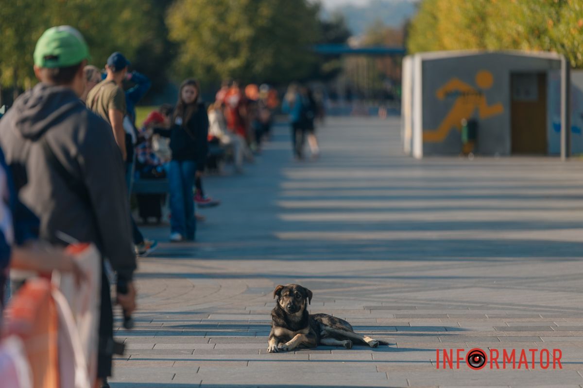 Спортивний драйв та дух змагань: у Дніпрі пройшов ювілейний "Дніпро Марафон" 28