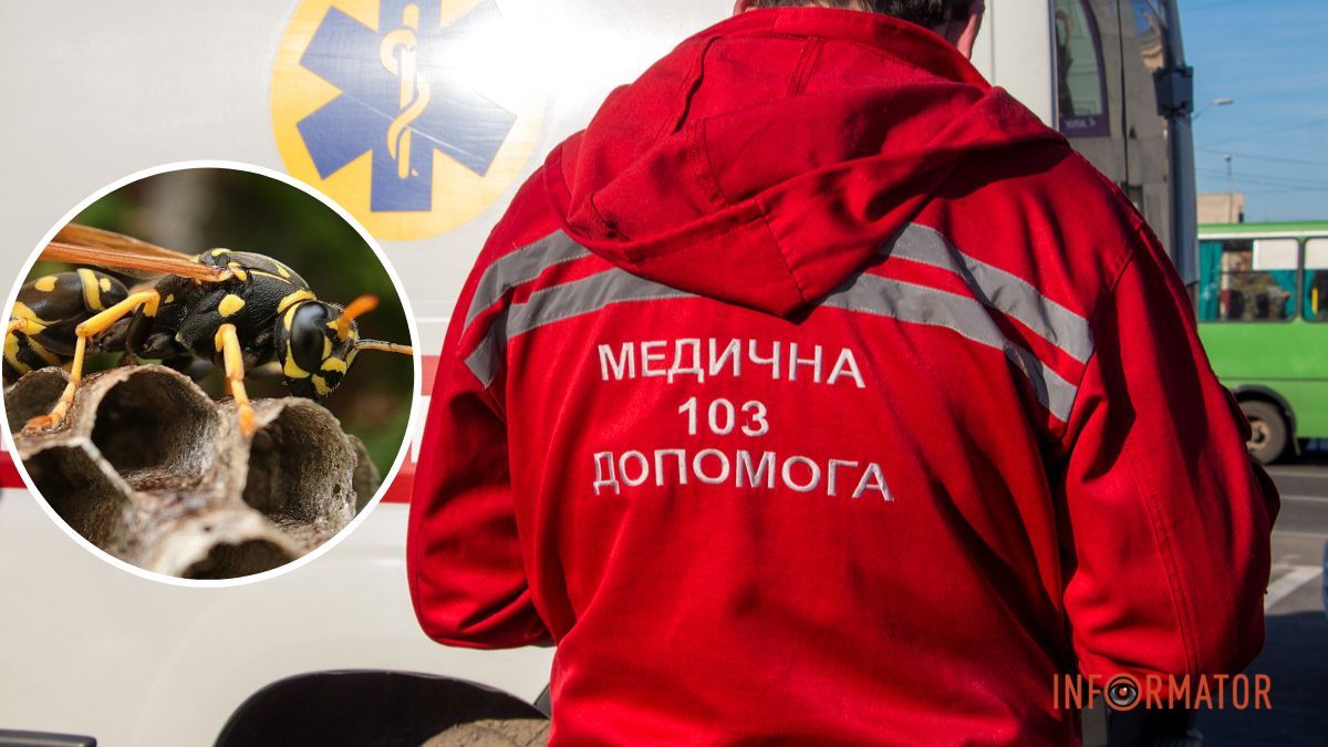 У Самарівському районі чоловік розворушив осине гніздо: пацієнта ушпиталили до лікарні