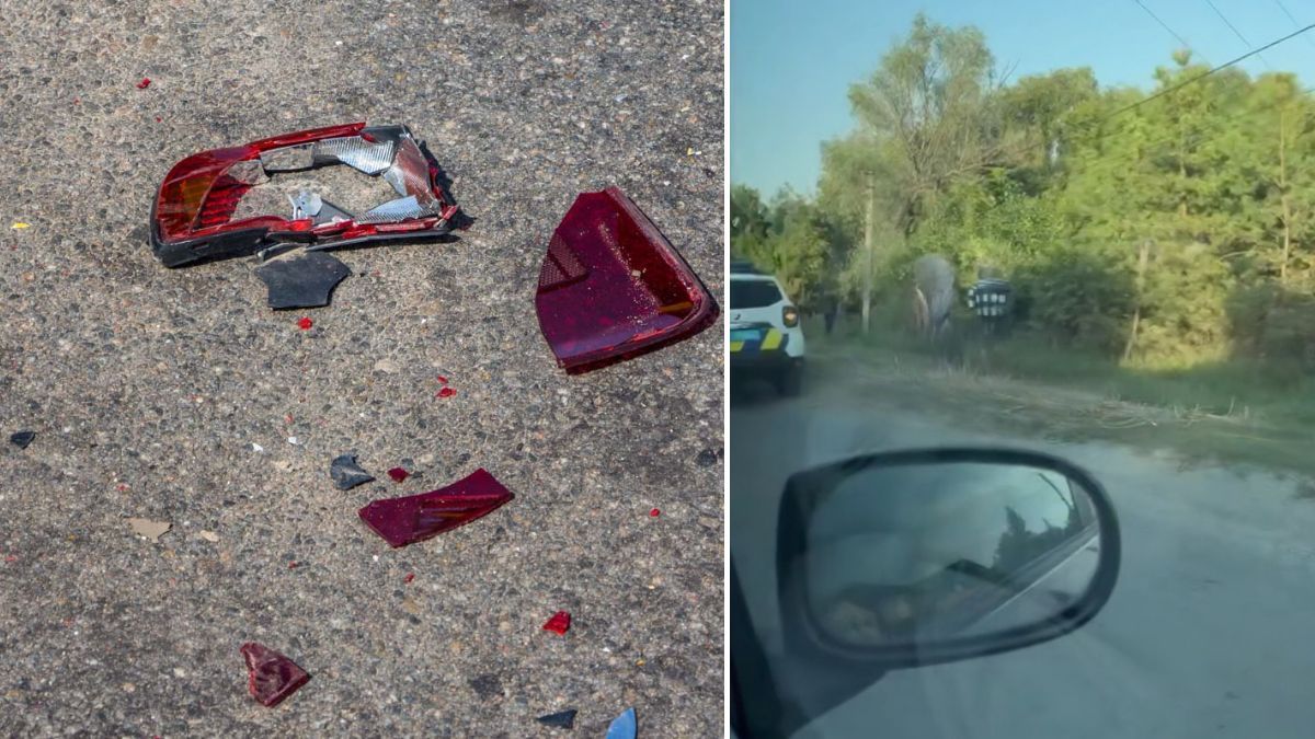 У Дніпровському районі машина вилетіла в кювет: постраждали водій та пасажирка