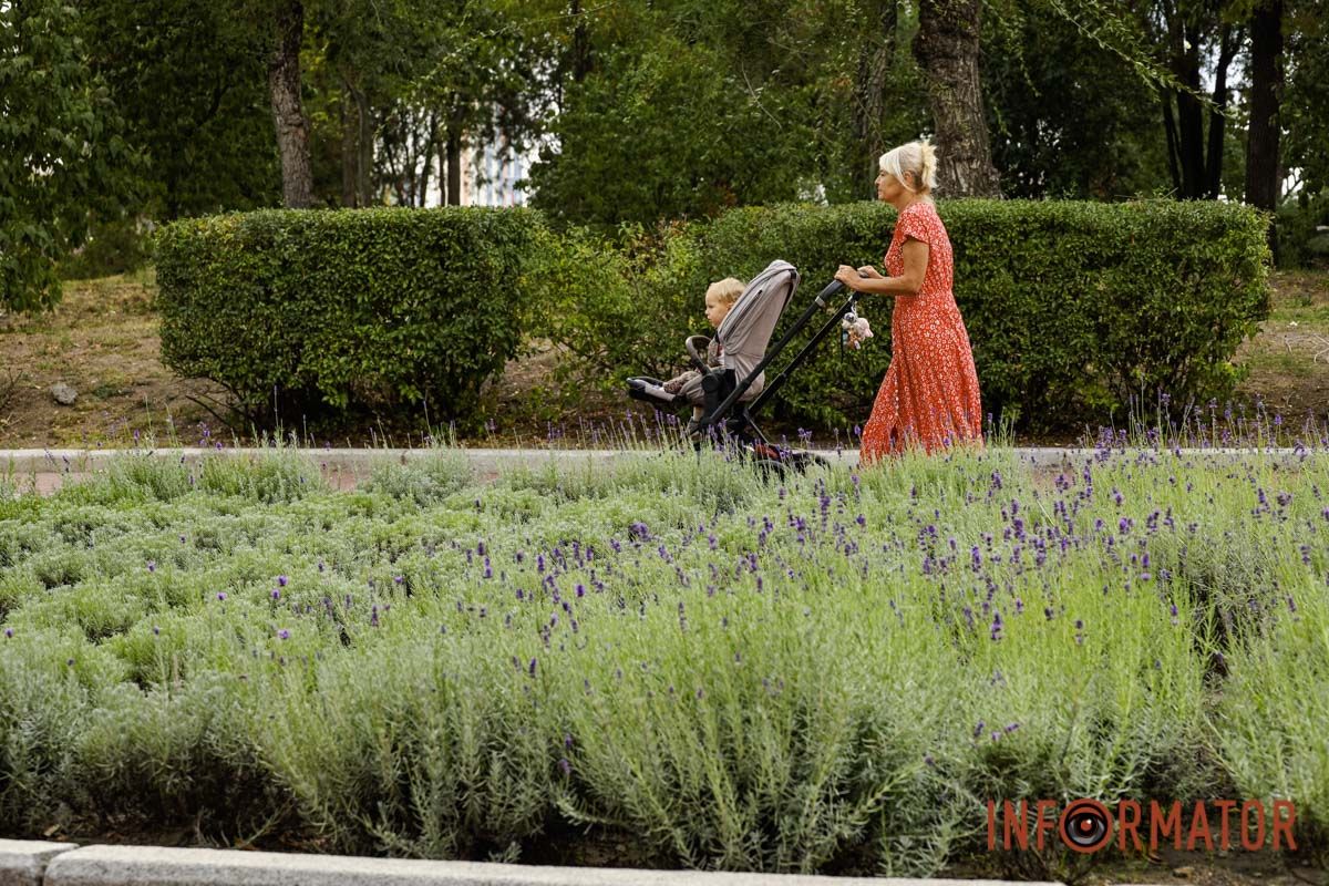Осіння фотолокація, яка підкорила серця мешканців Дніпра