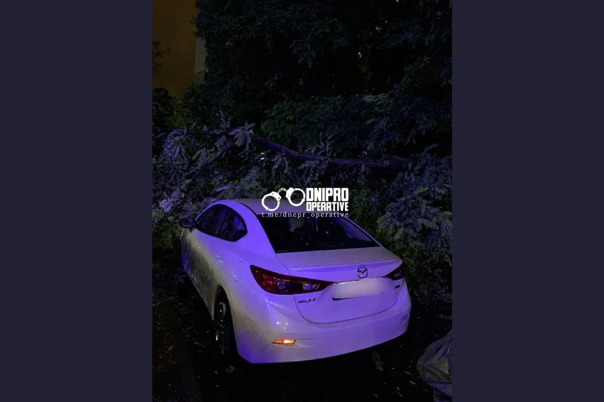 Зокрема, біля ТЦ «Славутич» дерево впало просто на припаркований автомобіль Mazda