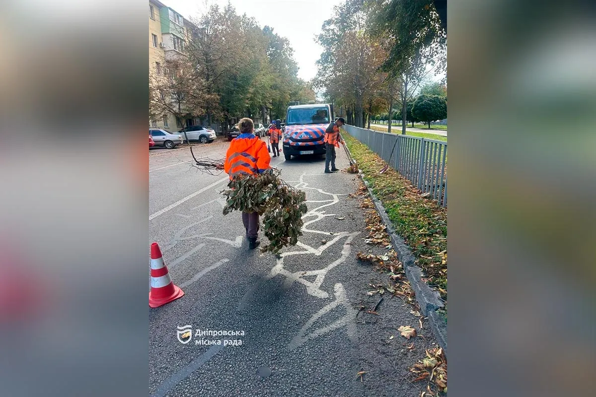 Более 90 заявок о поваленных деревьях: в Днепре ликвидируют последствия непогоды 23 сентября 6