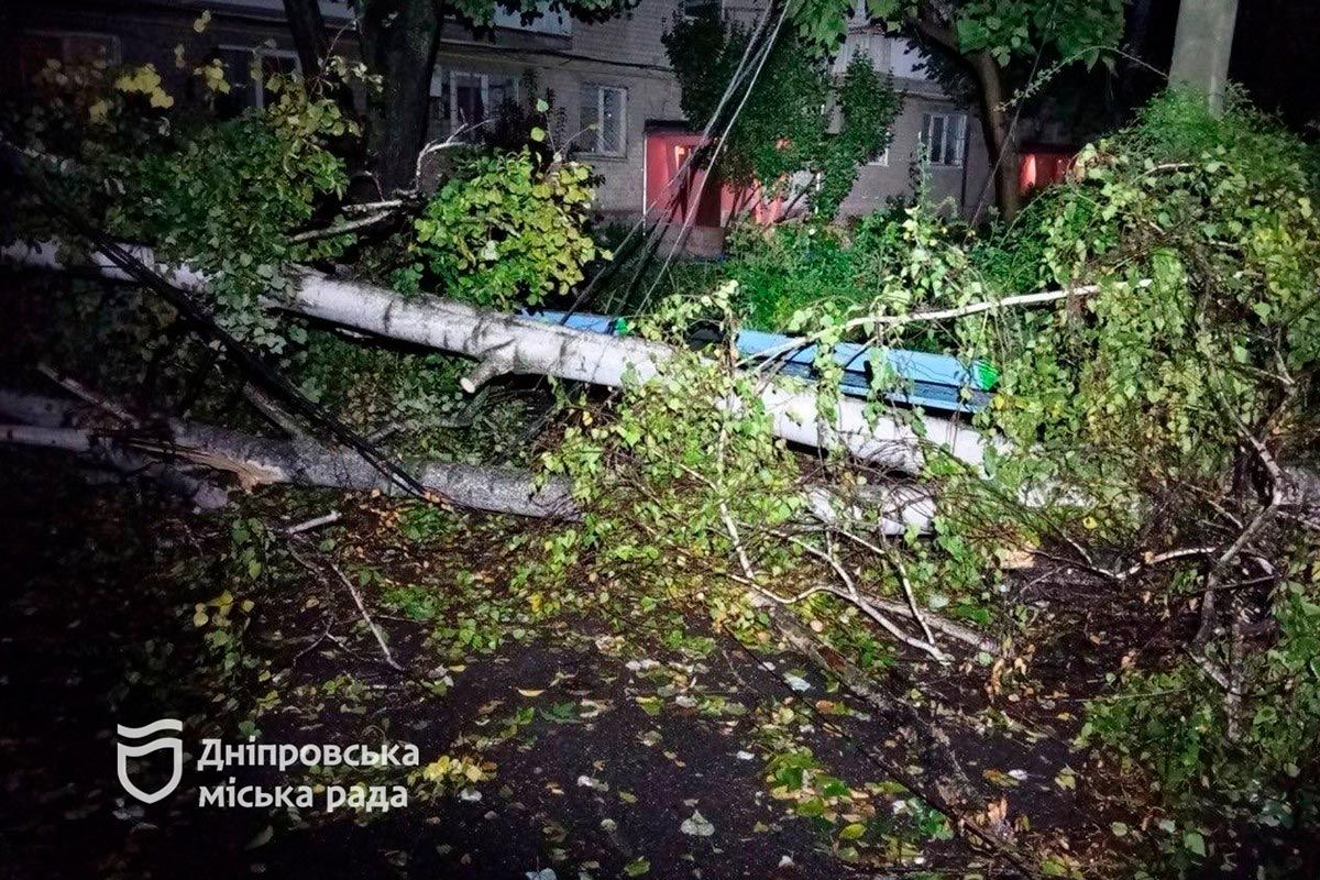 Деревья падали на дорогу