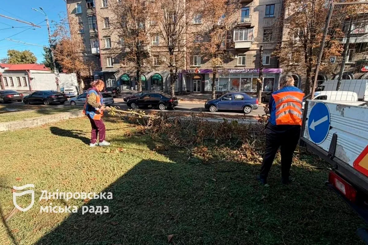 Более 90 заявок о поваленных деревьях: в Днепре ликвидируют последствия непогоды 23 сентября 5