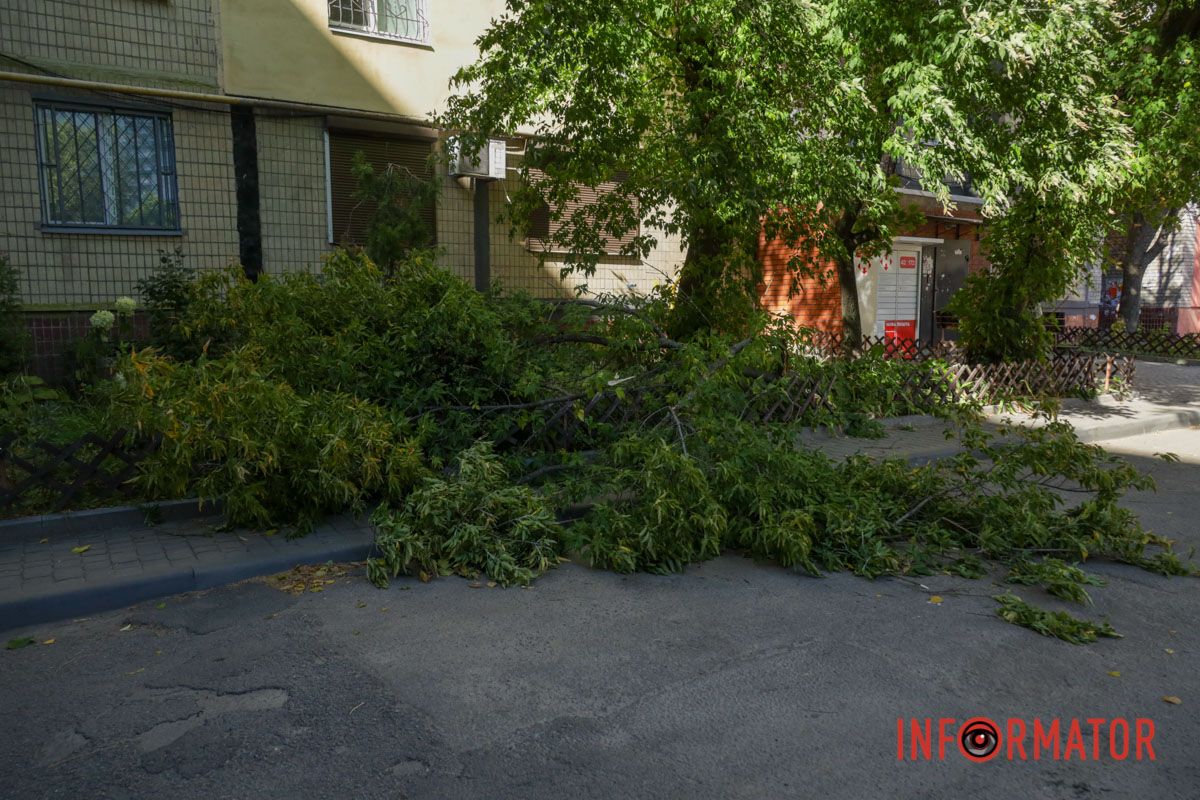 Люди майже рік скаржаться про проблему Люди майже рік скаржаться про проблему