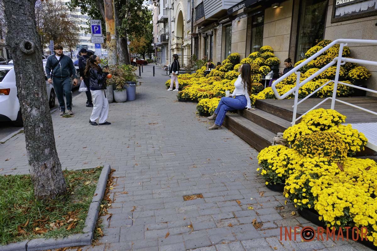 Хризантеми замість жовтого листя: де у Дніпрі зробити атмосферні осінні фото 3