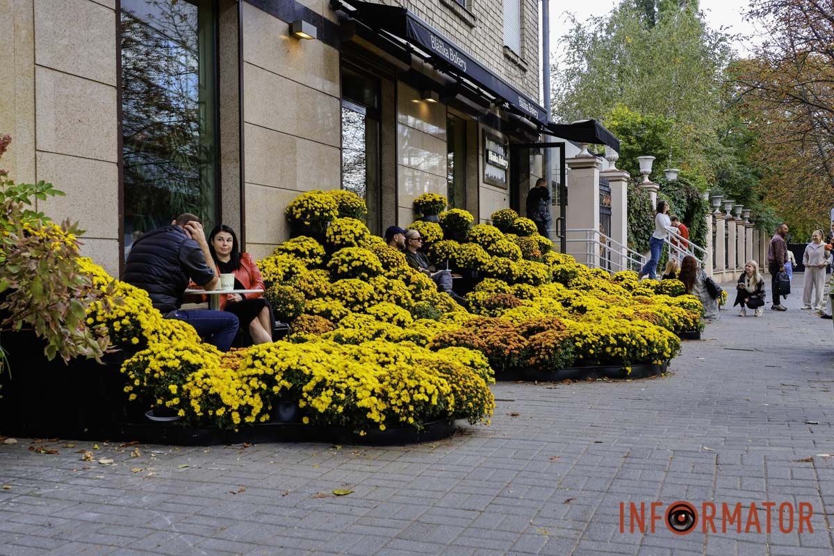 Хризантеми замість жовтого листя: де у Дніпрі зробити атмосферні осінні фото 8
