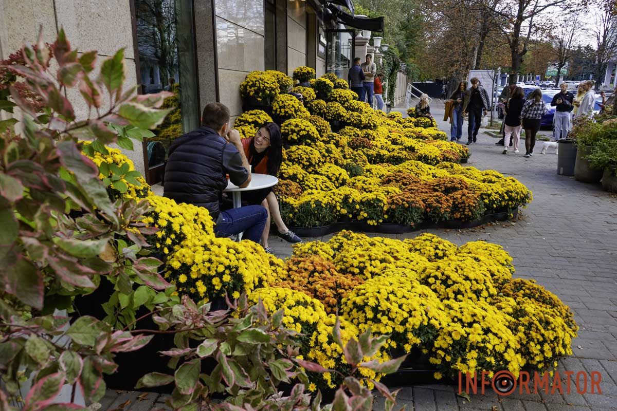 Хризантеми замість жовтого листя: де у Дніпрі зробити атмосферні осінні фото 11