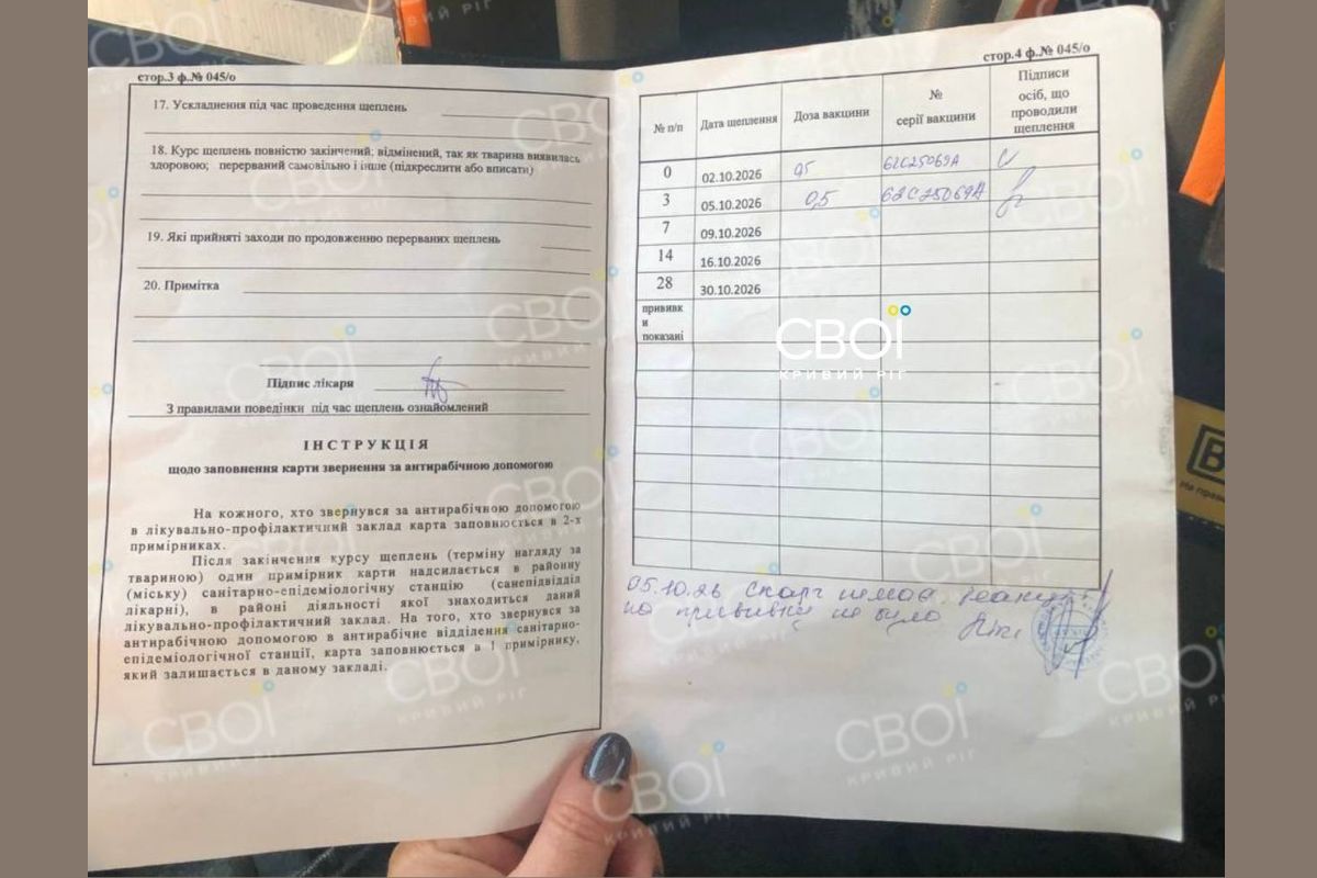 Несовершеннолетний назначили курс прививок против бешенства