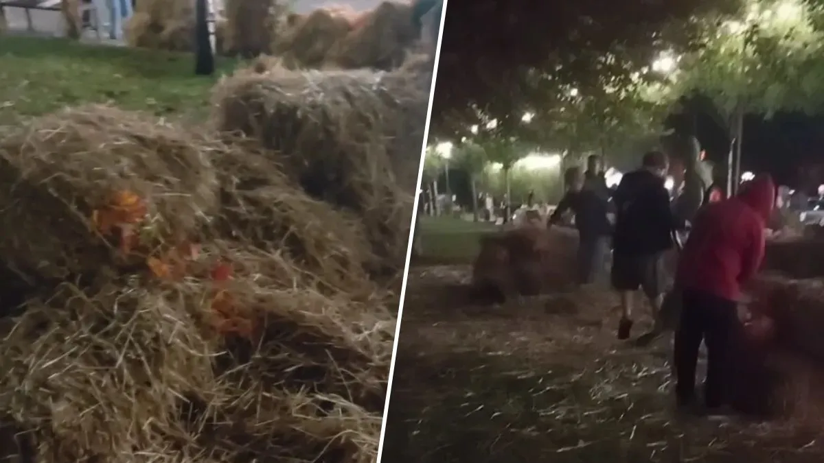 У Дніпрі в сквері Усачова на “Райончику” діти розтрощили фотозону до Гелловіну та облаяли всіх, хто робив зауваження