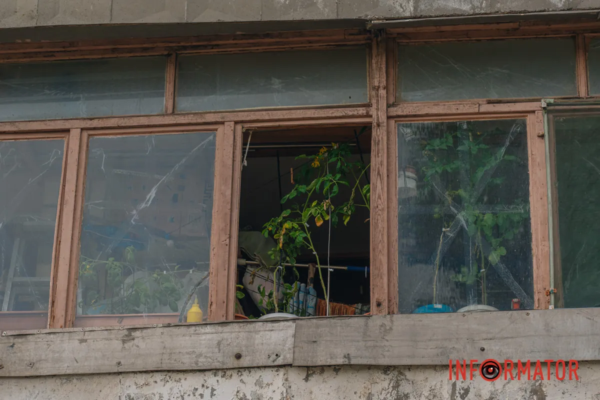 Тендітне життя проти жорстокої атаки