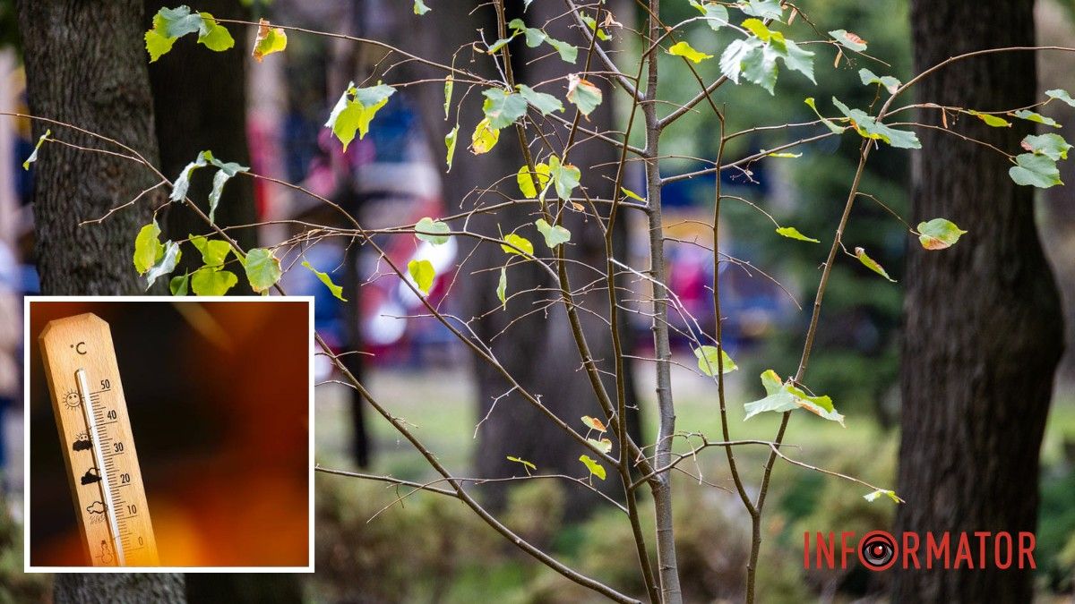 Востаннє так тепло було 91 рік тому: у Дніпрі зафіксували температурний рекорд