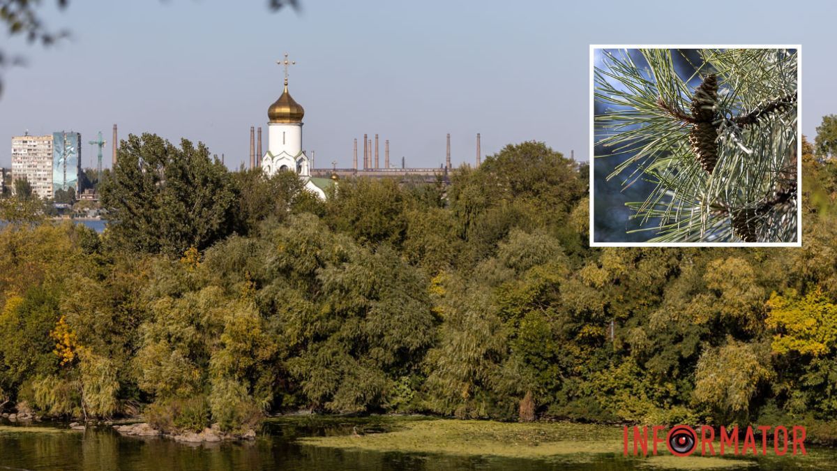 Погода на 14 октября: в Днепре будет пасмурно в течение всего дня