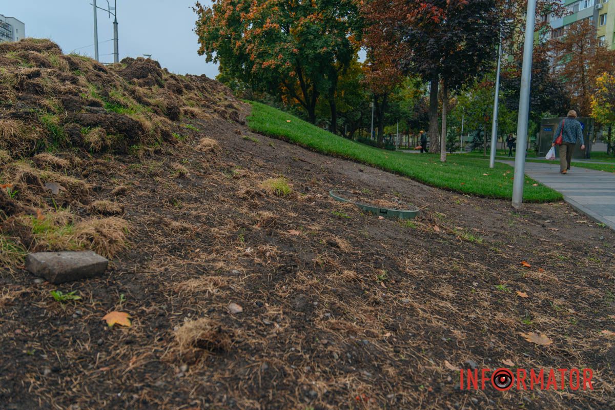 Зрізаний рулонний газон — це живий організм у стресі