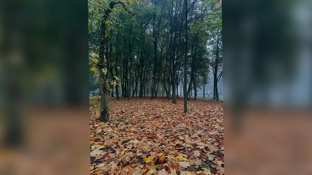 Якби у Дніпра був Instagram: топ красивих світлин міста