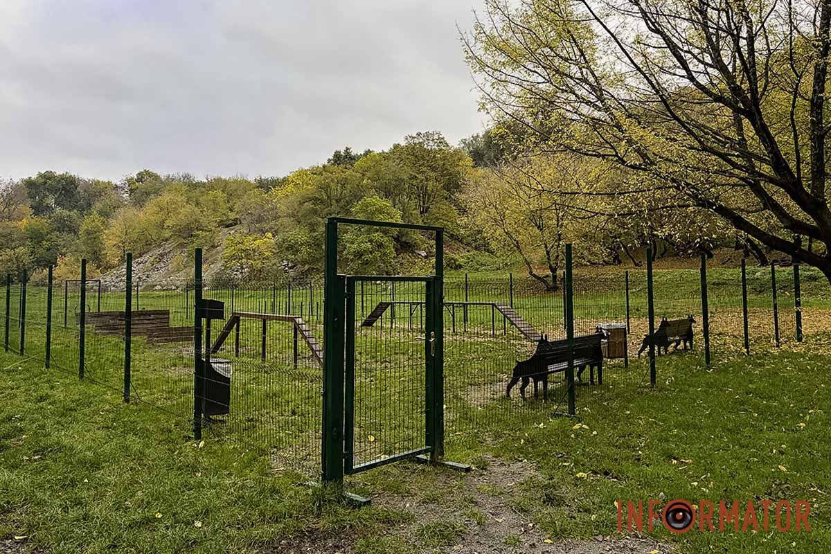 У парку Зелений Гай в Дніпрі облаштували місце для вигулу собак 16