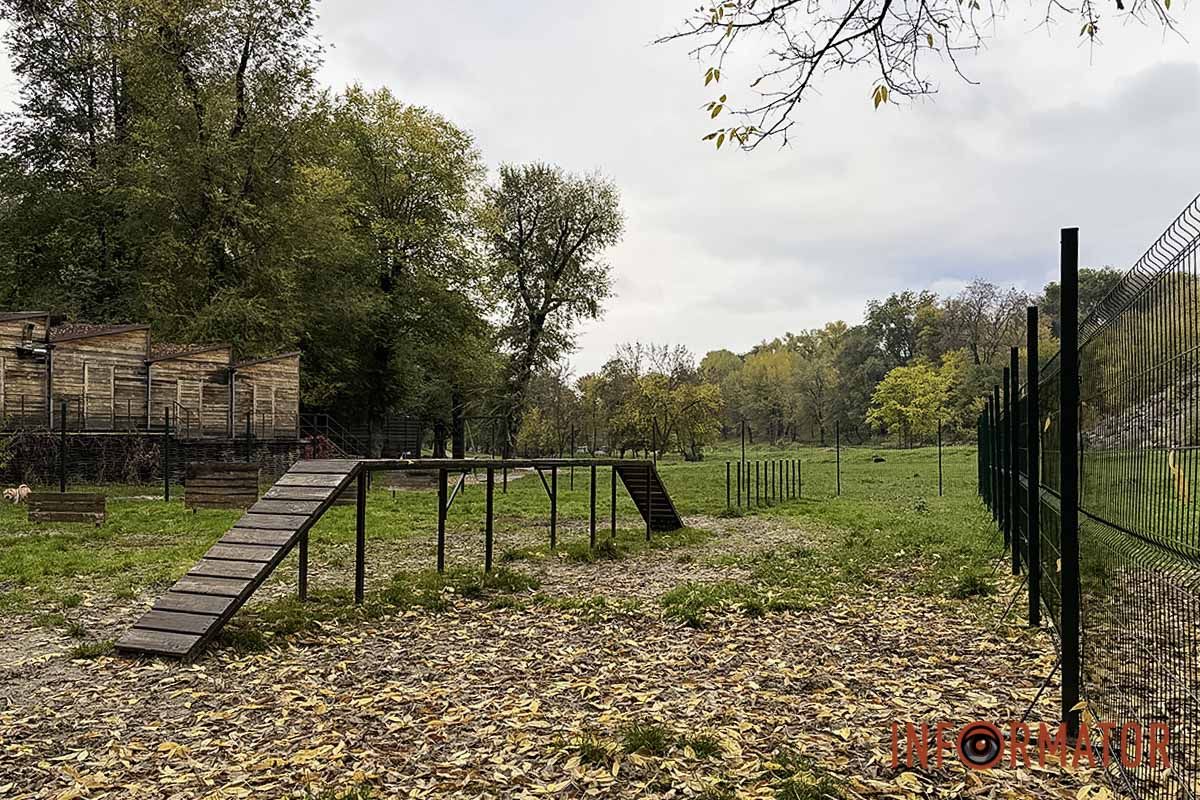 У парку Зелений Гай в Дніпрі облаштували місце для вигулу собак 12