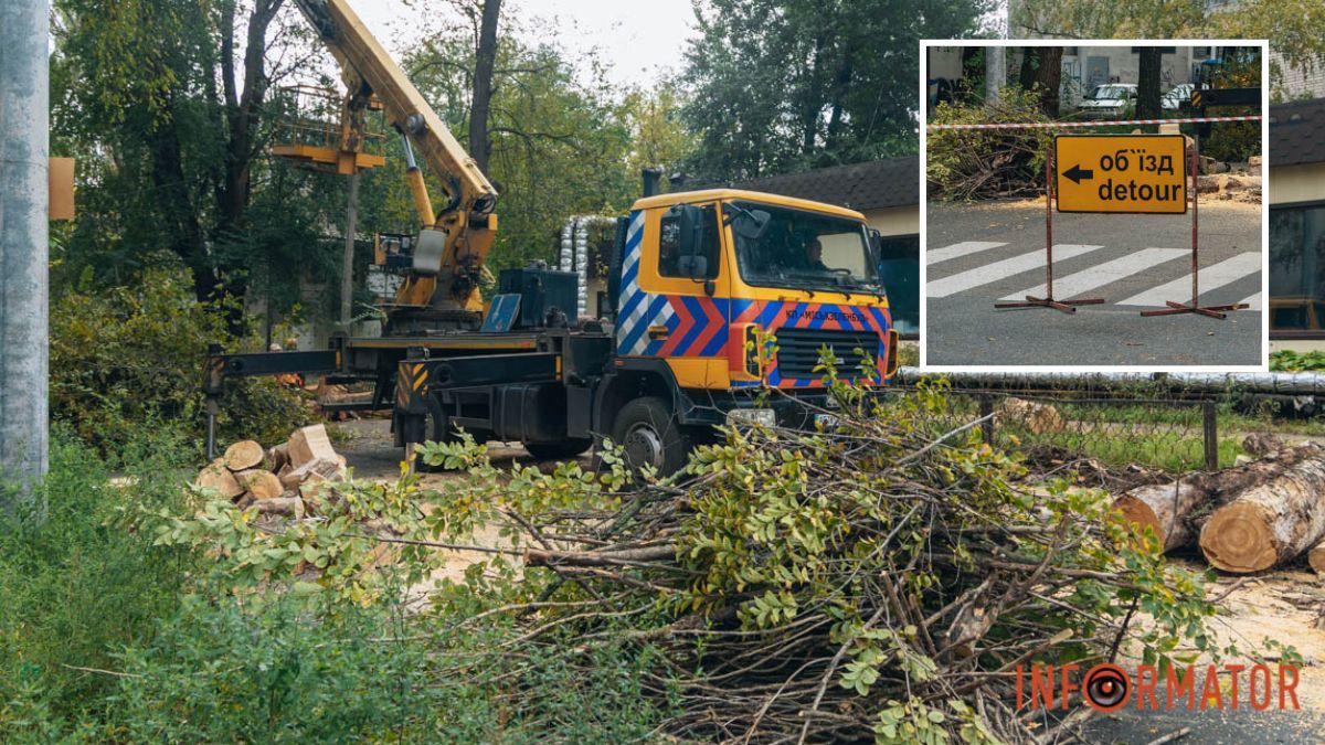Водіям на замітку: у Дніпрі через вирубку дерев перекрили вулицю поблизу проспекту Науки