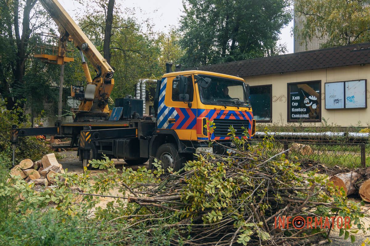 Робітники розпилюють повалені стовбури на менші частини
