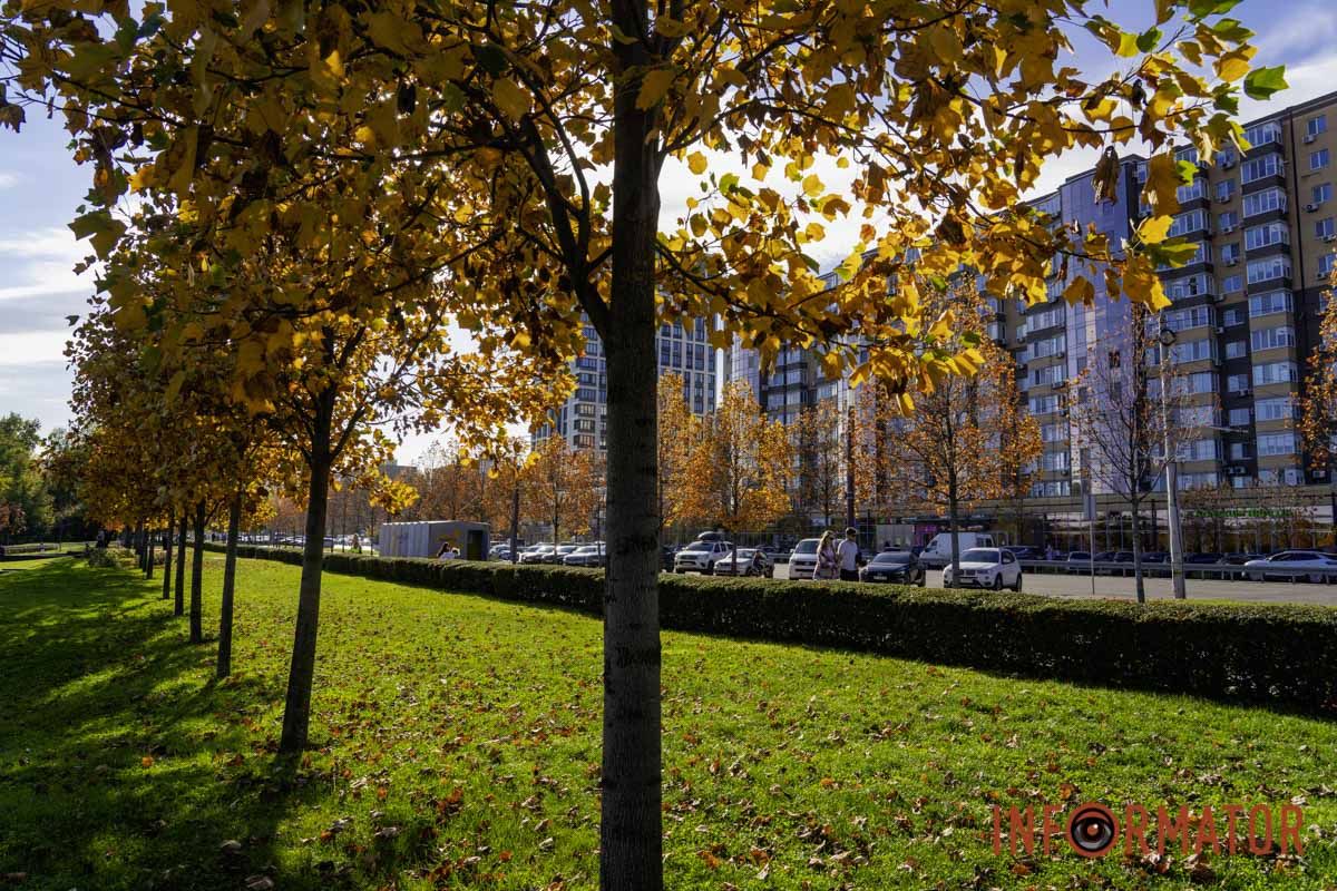 Дніпро в осінніх барвах: сквер Прибережний перетворився на мальовничу локацію 24