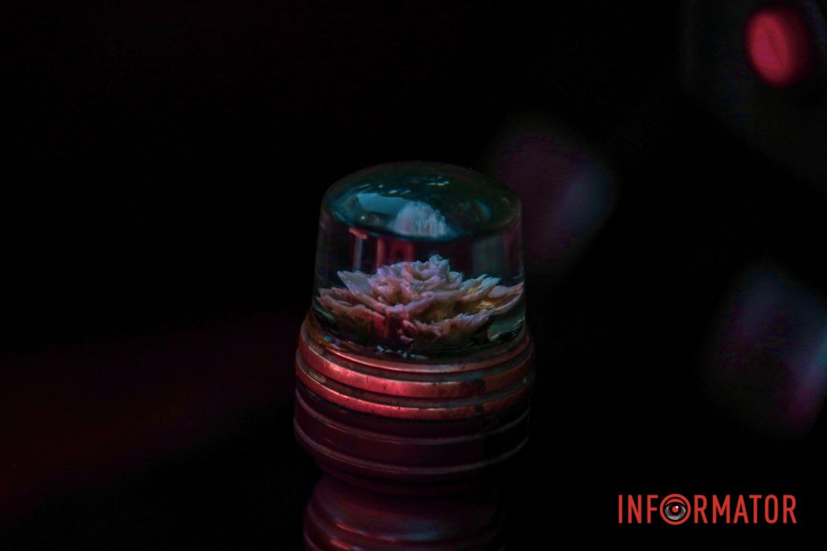 У Дніпрі відбувся пробіг-виставка ретро-автомобілів: фоторепортаж Інформатора 15