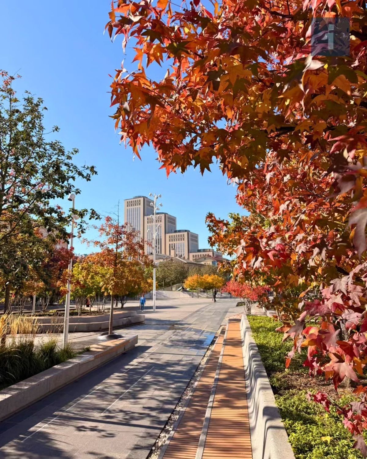 Фото: @dniprotourist Если бы у Днепра был Instagram: топ красивых фотографий города