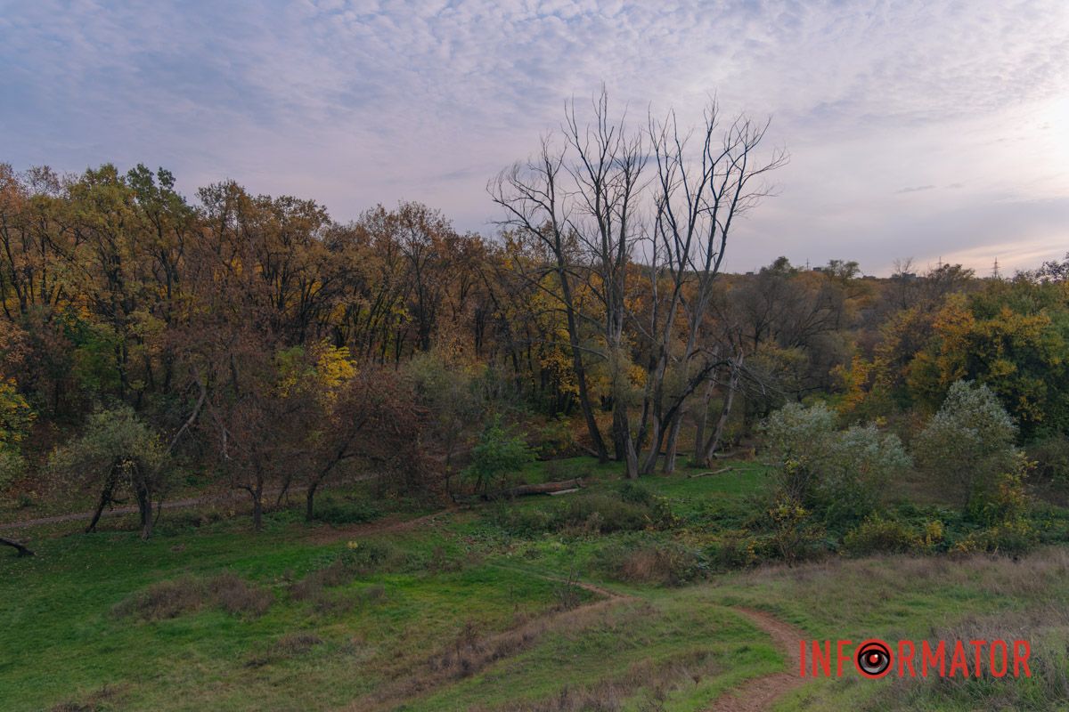 Осінні барви Тунельної балки у Дніпрі: прогулянки, фото та коні 11
