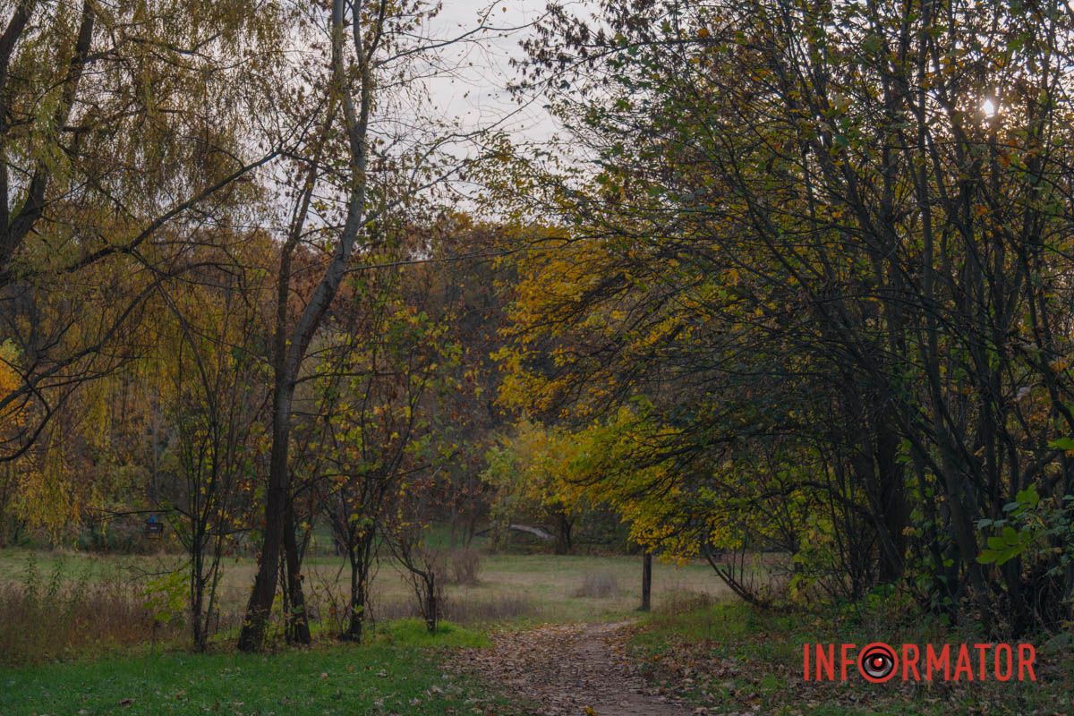 Осінні барви Тунельної балки у Дніпрі: прогулянки, фото та коні 23