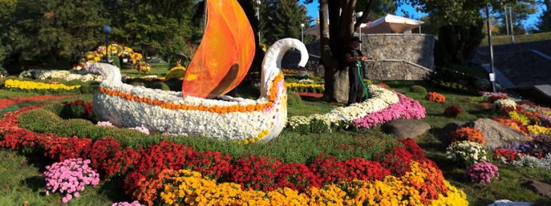 На Певческом поле пообещали провести фестиваль цветочной феерии