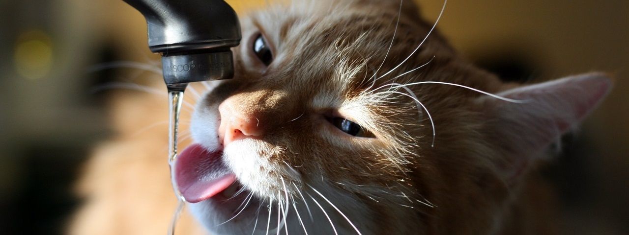 В Киеве отключат воду: ищите свой адрес