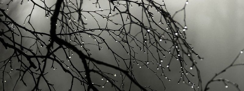 Погода на 25 сентября: в Киеве прогнозируют пасмурную погоду