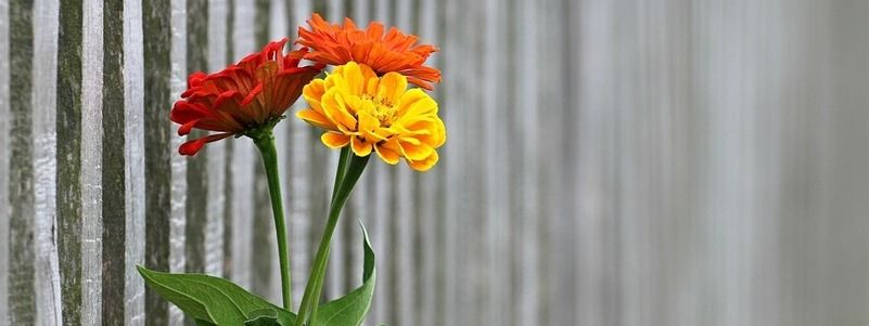 25 сентября: какой сегодня праздник