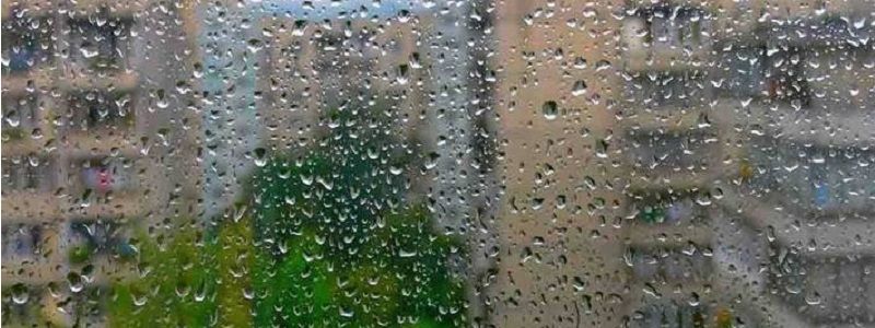 Погода на 5 октября: в Киеве будет дождь