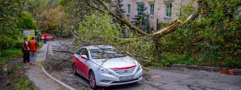 На Подоле дерево упало на проезжающую машину: образовалась пробка