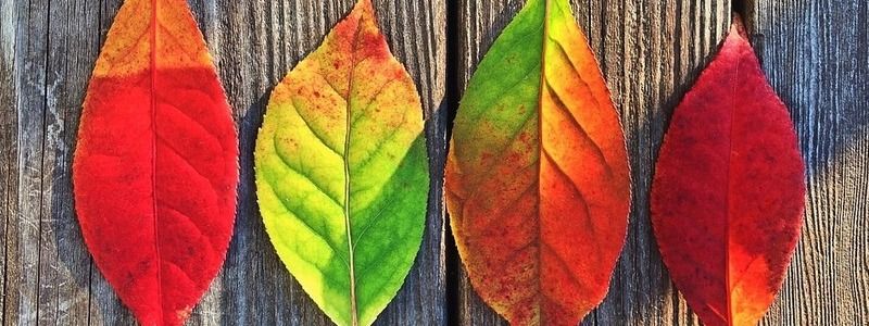 12 октября: куда пойти сегодня