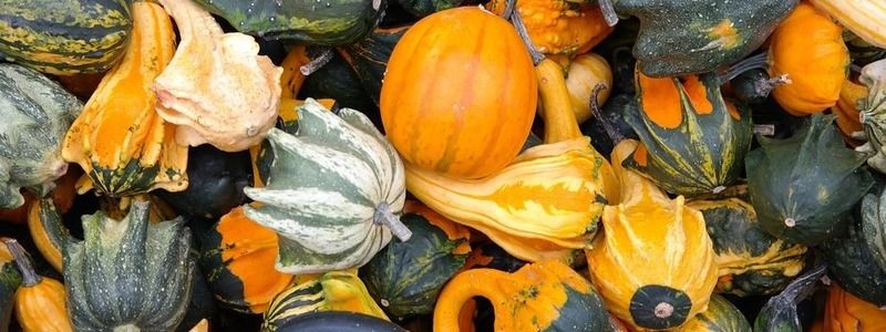 12 октября: какой сегодня праздник