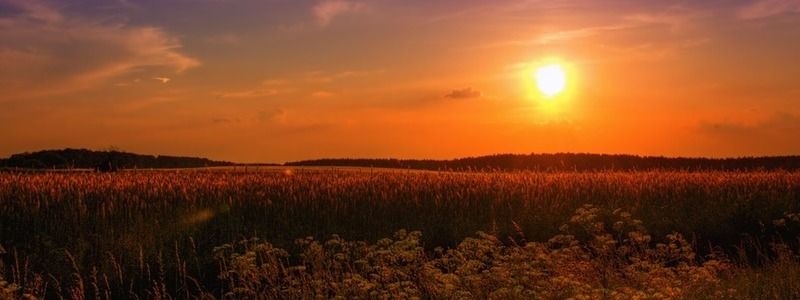 13 октября: какой сегодня праздник