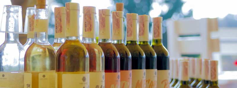 «Пьяная коза» и индюшатина с пармезаном: в Киеве прошел фестиваль вина и сыра