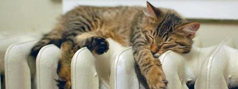 Когда появится тепло во всех домах Киева