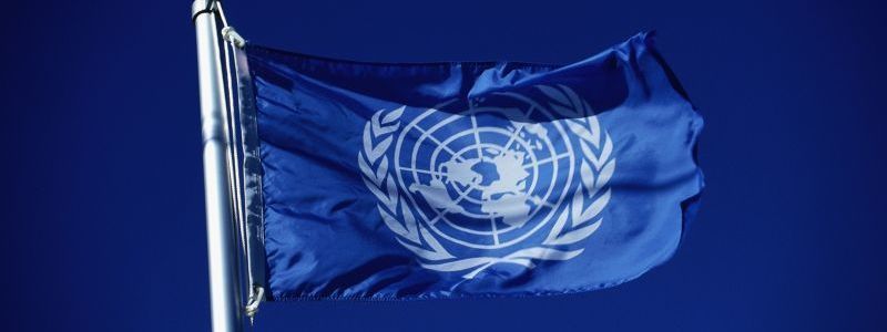 «Это американский штаб, создающий зоопарки»: что киевляне знают об ООН